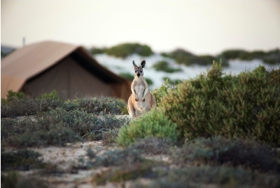 Australien Golfreisen und Golfurlaub